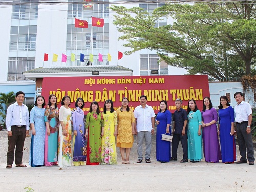 hinh-đang.jpg